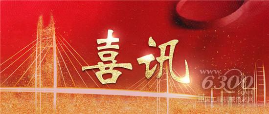 山東臨工成功進入聯合國采購供應商名單