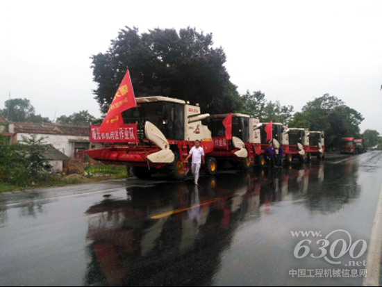 圖片新聞：清一色雷沃谷神的陜西扶風縣曙光跨區作業隊冒雨出征181.png