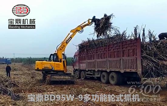 寶鼎多功能輪式挖掘機抓木機