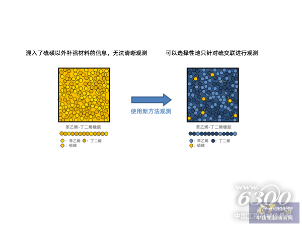 苯乙烯-丁二烯橡膠（SBR）中硫交聯的疏密度觀察圖像 （終版使用）_副本.png