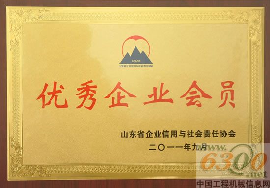 山東臨工,優秀企業會員